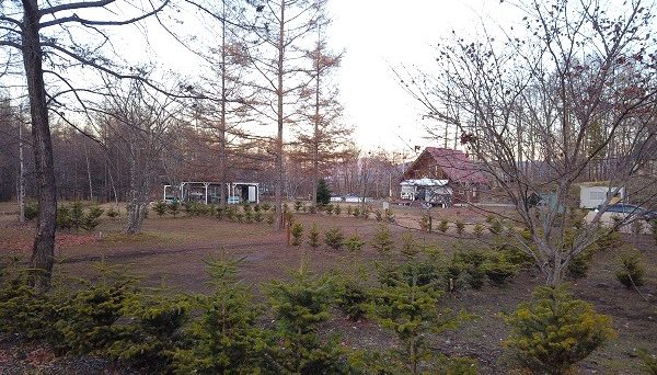北軽井沢　どんぐり山の一番星キャンプ場